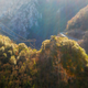 Illustration for article titled The Hills Are Alive with The Sound of Turbo Chirping